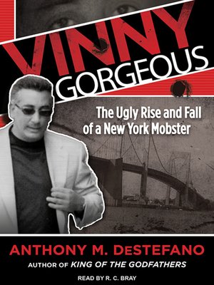 cover image of Vinny Gorgeous